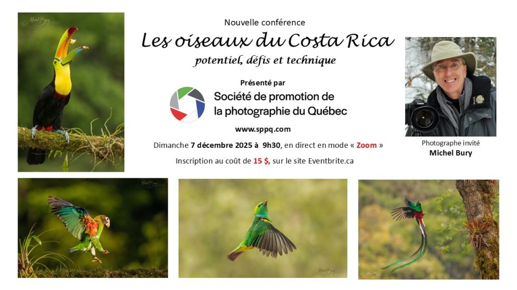 Oiseaux du Costa Rica 71225 Web